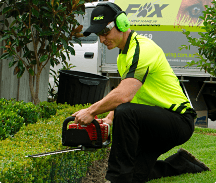 Balcolyn FOX Mowing and Gardening