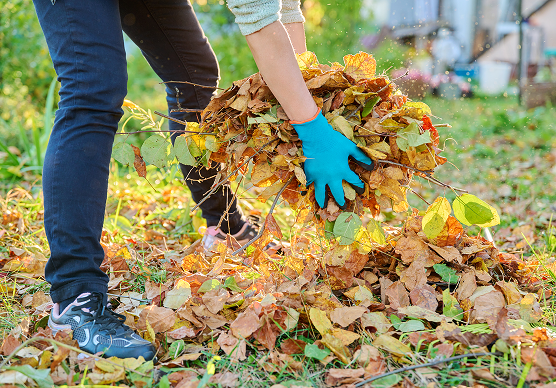 Removal Of Garden Refuse
