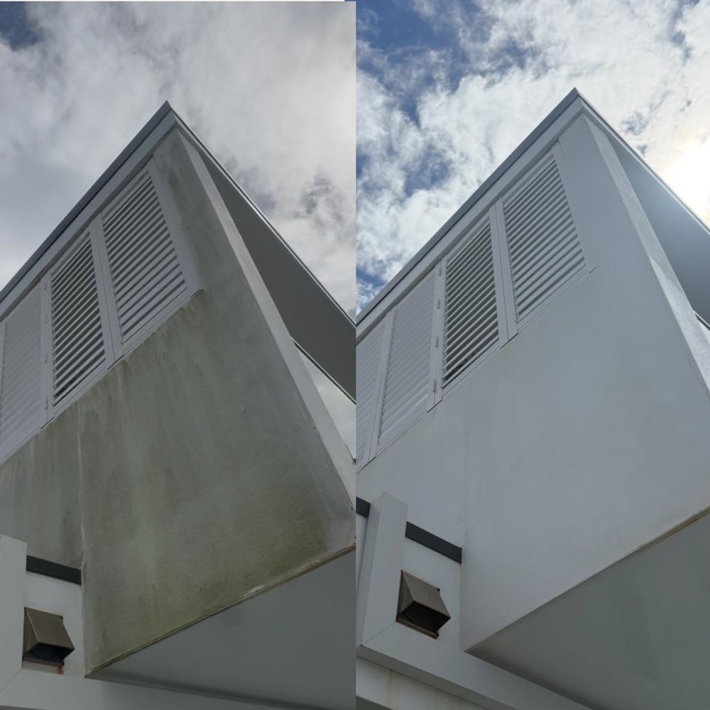 Before and After Cleaning