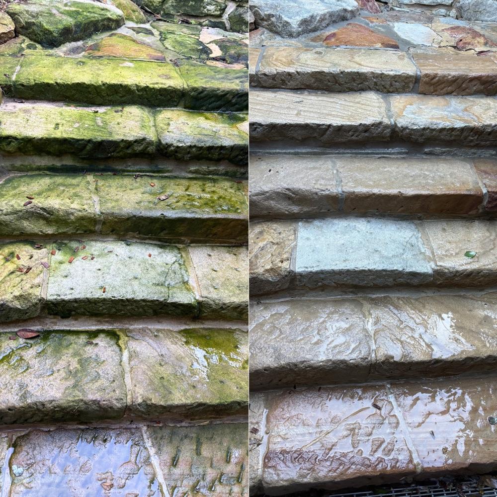 Before and After Cleaning